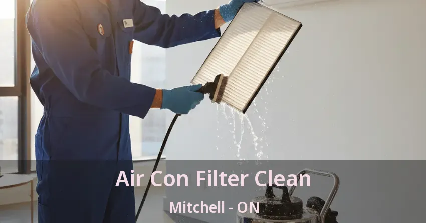 Air Con Filter Clean Mitchell - ON