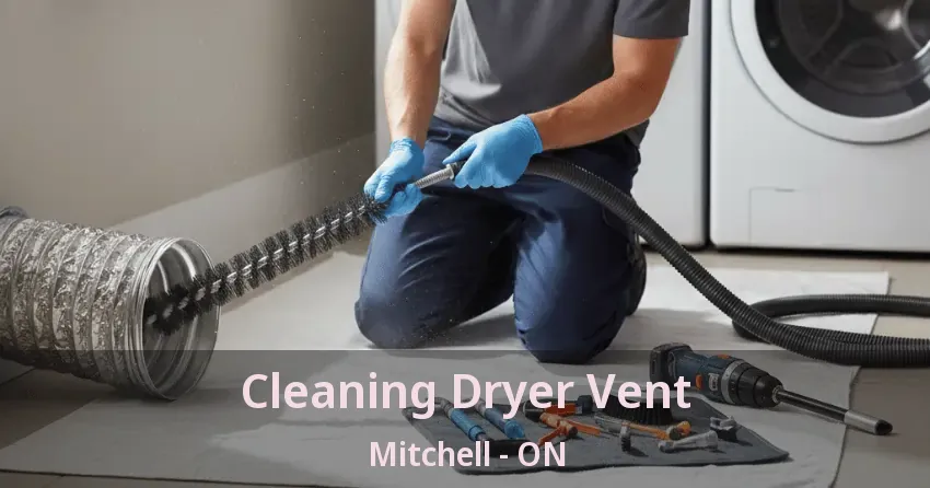 Cleaning Dryer Vent Mitchell - ON