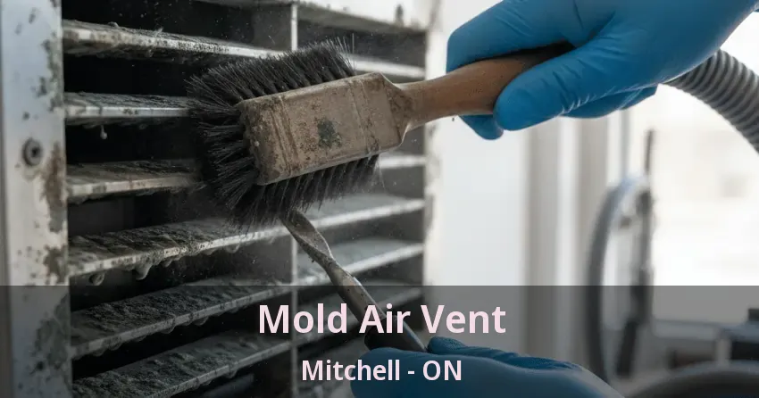 Mold Air Vent Mitchell - ON