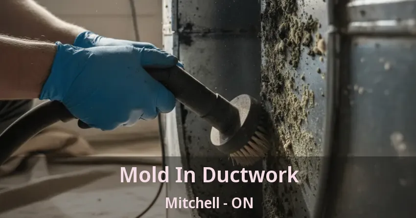 Mold In Ductwork Mitchell - ON